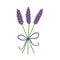 Hand drawn illustration of three purple lavender flowers on a white background.
