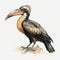 Hand Drawn Image Of A Brown Hornbill With Fur And White Background