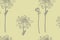 Hand-drawn ink dahlias. Floral elements. Graphic flowers illustrations. Botanical plant illustration. Vintage medicinal