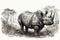 Hand drawn ink illustration of a rhinoceros in its natural habitat. Generative AI