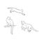 Hand-drawn ink vector drawing. Wild animal cougar in full growth side view. Nature, predator, puma. Cougar vector sketch