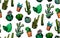 Hand Drawn Isolated Cactuses Seamless Pattern