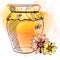 Hand drawn jar of honey, flowers and bees. VECTOR illustration. Orange and yellow splash.