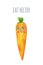 Hand drawn kawaii vegetables. Cute food illustration. Cartoon carrot with cute faces. Isolated on the white background