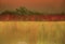 Hand drawn landscape view. Grunge textured bright nature background.