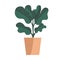 Hand drawn large natural houseplant in the modern potted flat vector.