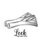 Hand drawn leek icon.