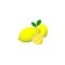 Hand drawn lemons illustration isolated in white background