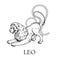 Hand drawn Leo. Zodiac symbol in vintage gravure or sketch style. Lion male with big mane standing in specific pose. Retro astrolo