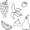 Hand drawn line set of fruits vector illustration design elements for grocery strawberry pear sketch banana vector food