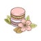 Hand drawn macaroons set wit almond flower and nuts in pastel colors. Traditional French almond cookies. Isolated vector