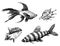 Hand Drawn Marine life set, fish and seashells. Sketch style.  Isolated on white background. Vector illustration