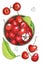 Hand drawn marker illustration of bowl full of cherries with leaves, berries, flowers and petals around it top view flat lay