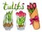 Hand drawn marker tulips set