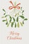 Hand drawn mistletoe. New Year and Christmas objects and elements of nature. Vector illustration of hanging mistletoe