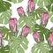 Hand drawn mixed kinds of monstera and protea, African native wild flower seamless pattern on white background.