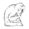 Hand drawn monkey. Black vector animal image. Sketch style.