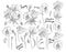 Hand drawn monochrome pansy flowers clipart. Floral design element. Isolated on white background. Vector