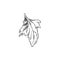 Hand drawn monochrome quinoa leaf sketch style, vector illustration