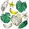 Hand drawn motive with tropical and palm leaves banana on white