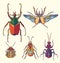 Hand drawn multicolor beetles set. Can be used for for postcard, t-shirt, fabric bag or poster. Insect collection.