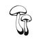 Hand drawn mushroom outline. Line art style isolated on white background