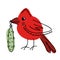 Hand drawn Northern cardinal bird with christmas pickle in beak. Perfect for T-shirt, poster, greeting card and print. Hand drawn