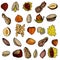 Hand drawn nuts set. Collection of peanuts, walnuts, hazelnuts, pistachios, chestnuts. White isolated background, vector