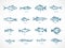 Hand Drawn Ocean or Sea and River Fish Illustration Bundle. A Collection of Salmon and Tuna or Pike and Anchovy, Herring