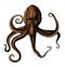 Hand drawn of octopus isolated