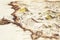 Hand drawn old vintage map of the fantasy land with mountains, castles, buildings, coastline closeup view with selective focus