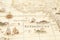 Hand drawn old vintage map of the fantasy land with mythological sea monsters, ships, coastline, continent and islands closeup