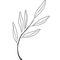 Hand drawn olive tree branch. Outline olive branch