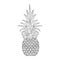 Hand drawn ornate Pineapple, zentangle tribal exotic fruit for a