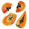 Hand drawn papaya watercolor. Tropic fruit watercolor painting. Papaya slice isolated on white background. Fresh health