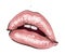 Hand-drawn parted sexy lips in nude color vector. Parted sexy lips beige lip color gloss. Beautiful woman`s open lips close. Lip