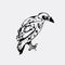 Hand-drawn pencil graphics, bird, raven, crow, rook. Engraving,