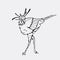 Hand-drawn pencil graphics, secretary bird, eagle, hawk, osprey.