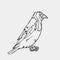 Hand-drawn pencil graphics, small bird. Engraving, stencil style