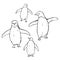 Hand drawn penguins. Vector sketch  illustration