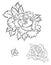 Hand drawn Peony flower.Chinese flower vector tattoo.Doodle art peony tattoo.