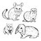 Hand drawn pet rodents. Rabbit, hamster, chinchilla and ferret.