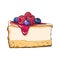 Hand drawn piece of cheesecake decorated with fresh berries