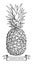 Hand drawn pineapple â€“ stock illustration file