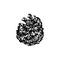 Hand drawn pinecone vector illustration. Linocut  forest pine or fir cone decorative graphic image. Stylized monochrome black