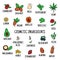 Hand-drawn plants flowers herbs fruits vegetables, oils. Cosmetic ingredients set. Vector collection of icons
