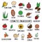 Hand-drawn plants flowers herbs fruits vegetables, oils. Cosmetic ingredients set. Vector collection of icons