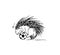 Hand drawn porcupine playing football