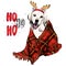 Hand drawn portrait of beagle dog wearing deer horn hat and plaid blanket. Vector Christmas poster. Xmas greeting card