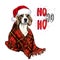 Hand drawn portrait of beagle dog wearing santa hat and plaid blanket. Vector Christmas poster. Xmas greeting card